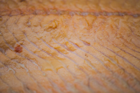 Close up macro of of smoked biological salmon meat