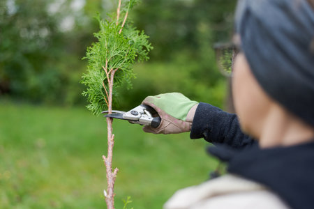 Looking over shoulder of woman with glasses wearing working gloves doing garden work, cutting off...