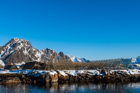 Giant empty wooden racks for hanging and drying cod to make stockfish on the Lofoten islands in...