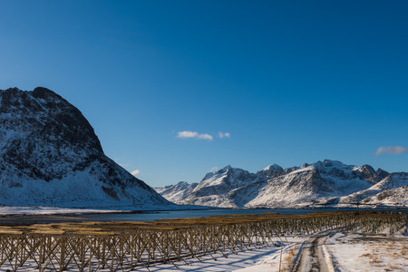 Giant empty wooden racks for hanging and drying cod to make stockfish on the Lofoten islands in Norway on clear winter day snow-clad mountains and blue skyの写真素材