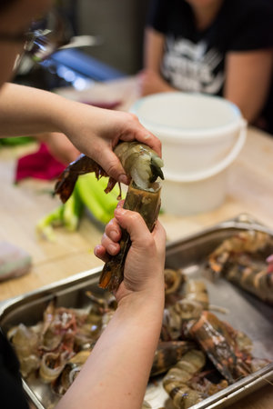 Human hands breaking up shell of Norway lobster in kitchen during cookery classの写真素材