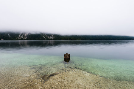 Tree trunk on the lakeshore of the beautiful Lake Bohinj in the Triglav National Park in Slovenia on misty morning in autumnの写真素材