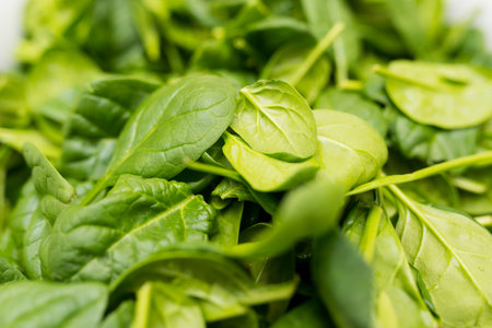 Close up of pile of fresh young baby spinach leaves