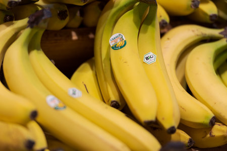 Regensburg, Germany - 2021 02 05: Detail of organic bananas from Ecuador with german labels Bio and Carmita on display in organic super marketのeditorial素材