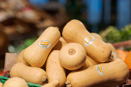 Regensburg, Germany - 2021 02 05: Unpacked organic butternut squashs with demeter certification label on display in organic super marketのeditorial素材