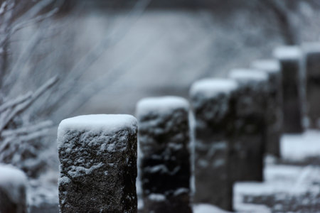 Row of small snow capped stone posts on street in winter