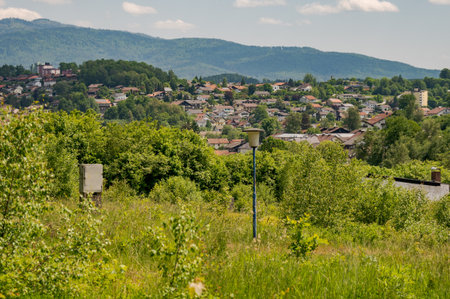 Abandoned overgrown campground of the AWO in Zwiesel, Bavaria with old lamp post and power distribution boxの写真素材