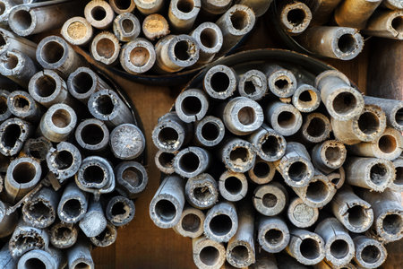 Detail of a hotel with insect Numerous small tubesの写真素材