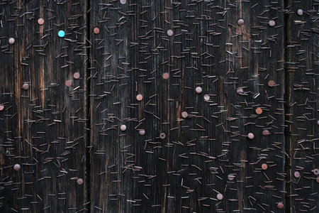 Countless, mostly rusty staples and some tacks stuck in an old billboard of black wood