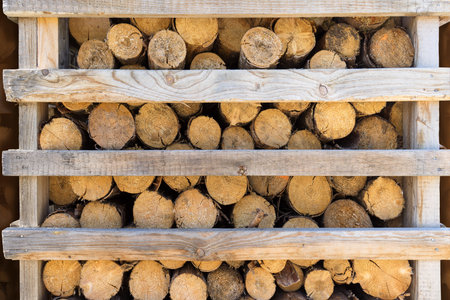 Firewood of small, round tree trunks is stored in a large, half-open wooden rack with horizontal...
