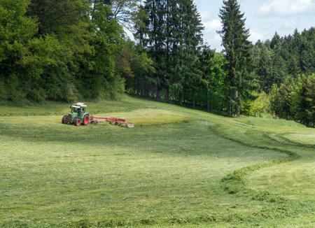 Tractor with hay tedder makes green fodder on a meadow at the edge of the forestの写真素材