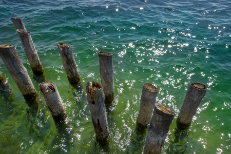 Old wooden posts in the waterの写真素材