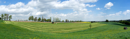 Panorama - Harvest of green fodderの写真素材