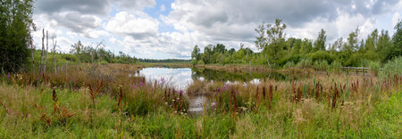 Natural moor landscape with lake - Panorama of Schwenninger Moos near Villingen-Schwenningen,...