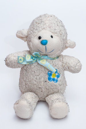 Kid's sheep toy isolated on white backgroundの写真素材