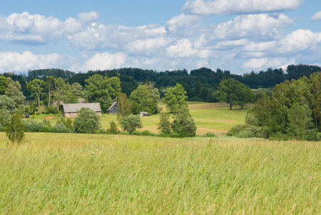 Crop field in foreground and house in backgroundの写真素材