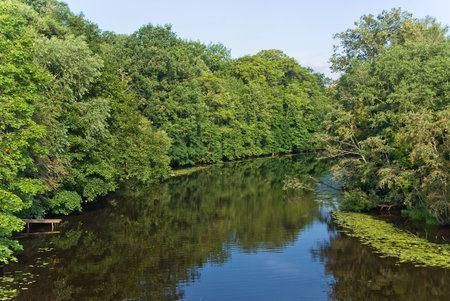 River bend in forest with blue skyの写真素材