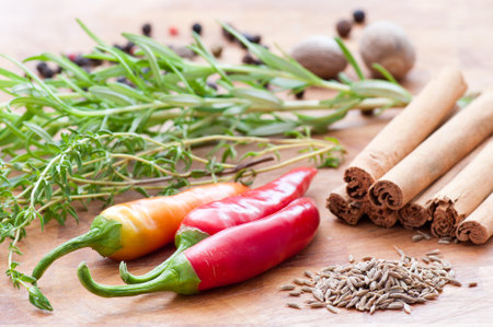 Spicery - chilli, cinnamon, cumin, nutmeg, pepper, rosemary, thymeの写真素材