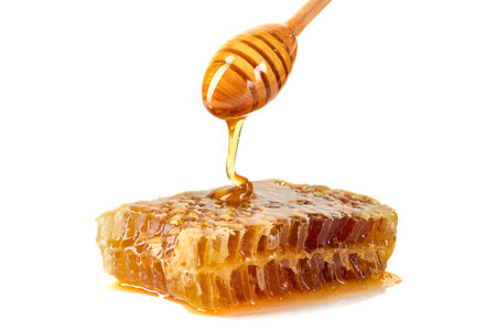 Honey dripping on honeycomb isolated on white backgroundの写真素材