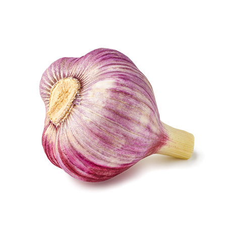 Violet bulb of fresh garlic on whiteの写真素材