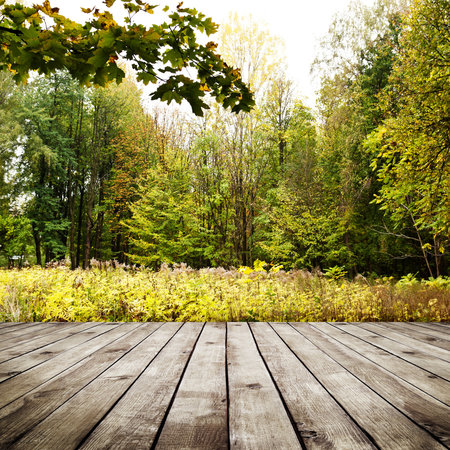 Beautiful sunlight in the autumn forest. Beauty nature backgroundの写真素材