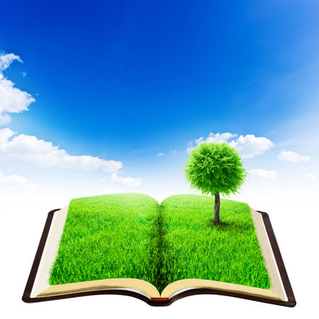 book of nature with grass and tree over beauty sky backgroundの写真素材