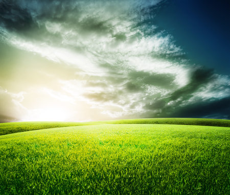 Green field under blue sky. Beauty nature backgroundの写真素材