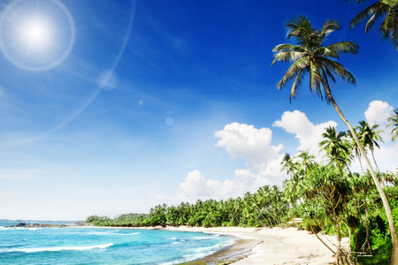 Tropical beach with palm trees. Beautifull sea nature backgroundの写真素材