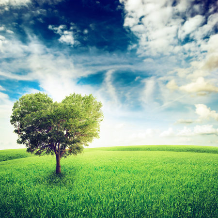 Green field with heart shape tree under blue sky  Beauty nature  Valentine concept backgroundの写真素材