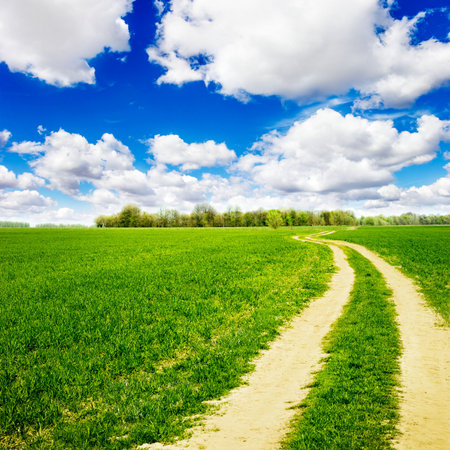 Green field under sunset sky  Beauty nature backgroundの写真素材