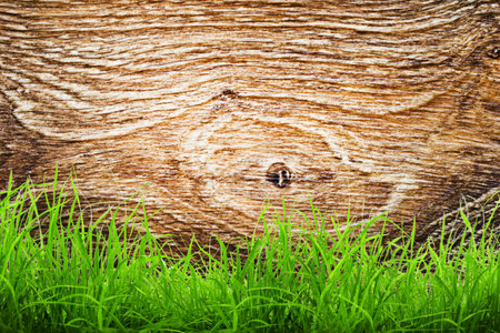 Fresh spring green grass over wood backgroundの写真素材