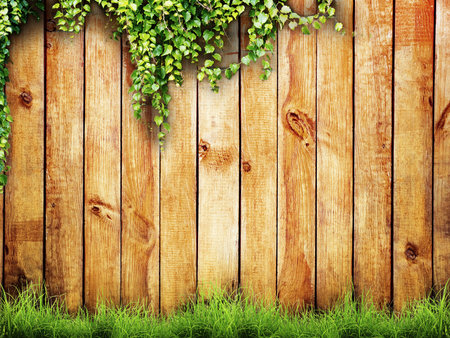 Fresh spring green grass and leaf plant over wood fence backgroundの写真素材