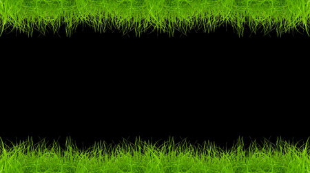 Close up of the green grass on black backgroundの写真素材