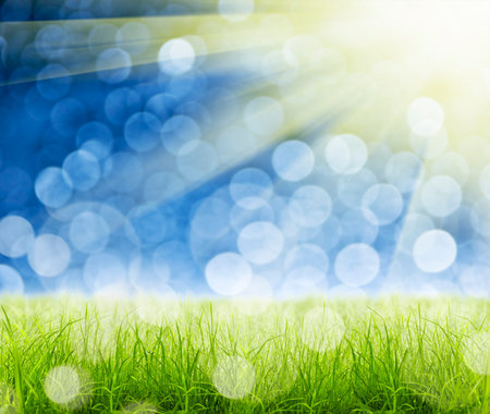 Green grass natural background with selective focusの写真素材