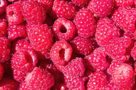 Raspberries close-up backgroundの写真素材