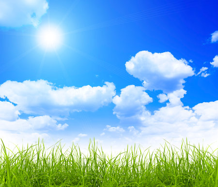 Green grass over a blue sky backgroundの写真素材