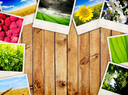 Photo frames over wooden planks background. Nature picturesの写真素材
