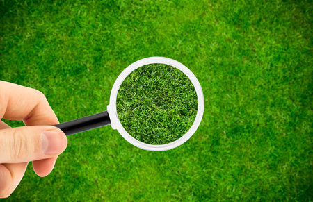 Green grass natural background and magnifier glass in hand. Search conceptの写真素材