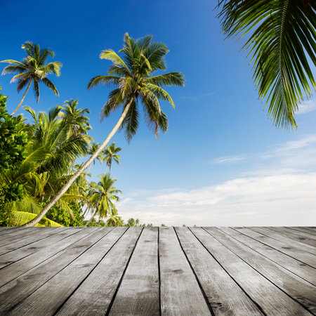 Palm trees. Beautifull tropic nature backgroundの写真素材