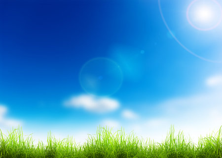 Green grass over a blue sky. Beauty natural backgroundの写真素材
