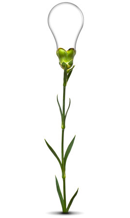 Lightbulb on green stem over white background. Eco conceptの写真素材