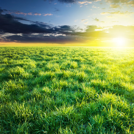 Green field under sunset sky. Beauty nature backgroundの写真素材