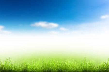 Green grass over a blue sky. Beauty natural backgroundの写真素材
