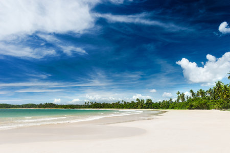 Tropical beach with palm trees. Beautifull sea nature backgroundの写真素材