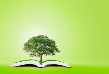 book of nature on green backgroundの写真素材