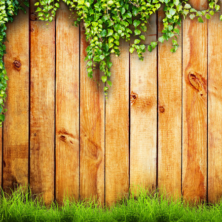 Fresh spring green grass and leaf plant over wood fence backgroundの写真素材