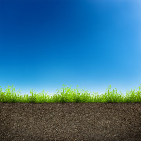 green grass with in soil over blue sky. Environment backgroundの写真素材