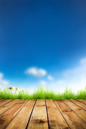 Fresh spring green grass and white flower camomile with blue bokeh and sunlight and wood floor. Natural backgroundの写真素材