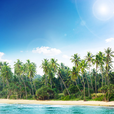 Tropical beach with palm trees. Beautifull sea nature backgroundの写真素材