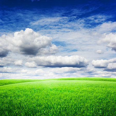 Green field under blue clouds sky. Beauty nature backgroundの写真素材